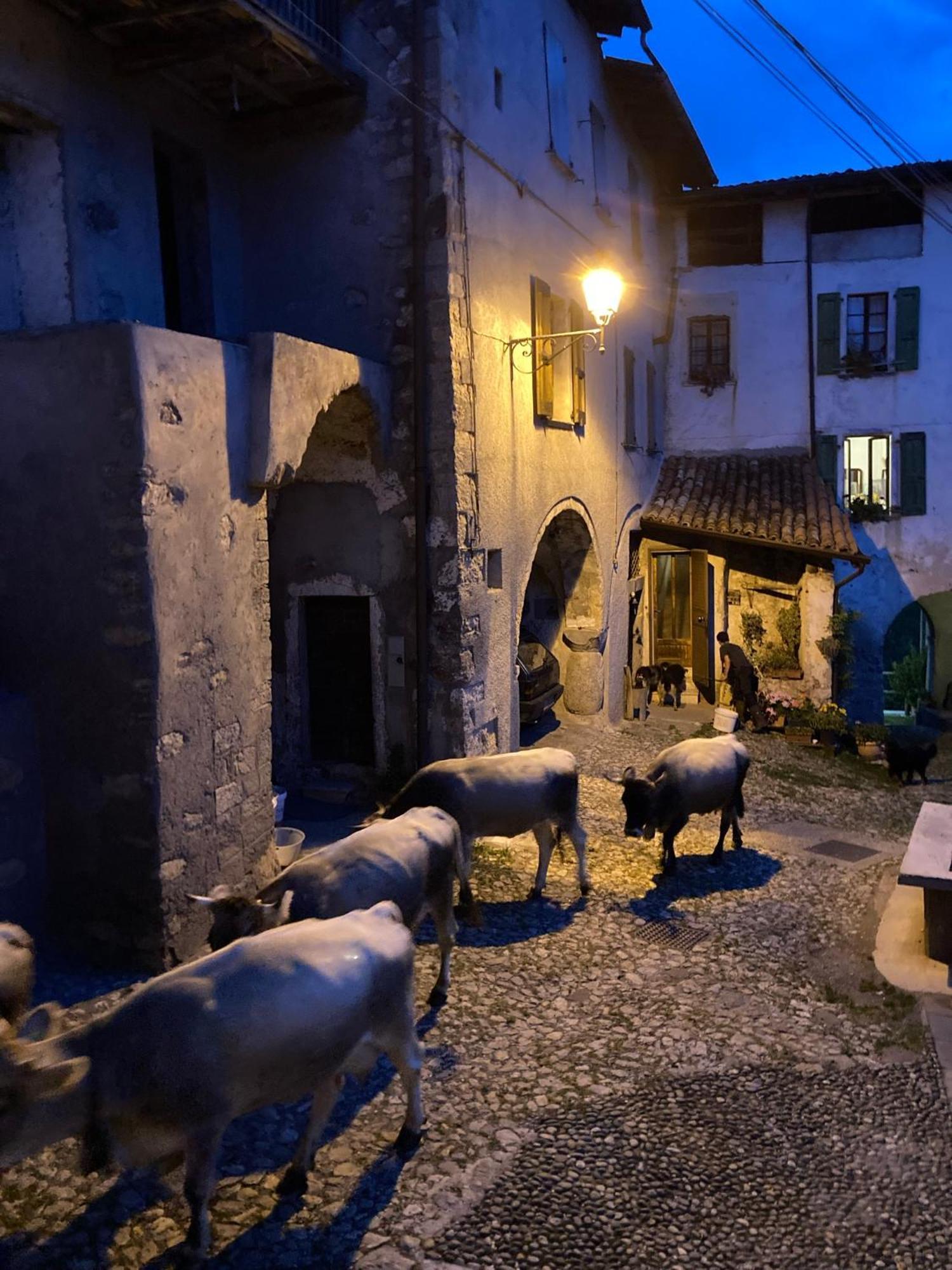 A Casa Di Gianni E Mari Bed & Breakfast Vestone Bagian luar foto